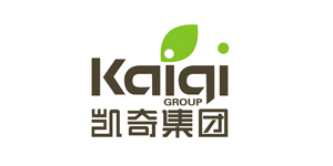 凱奇集團(tuán)